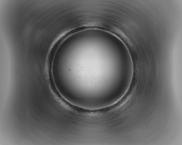 X0000116391122200912021534