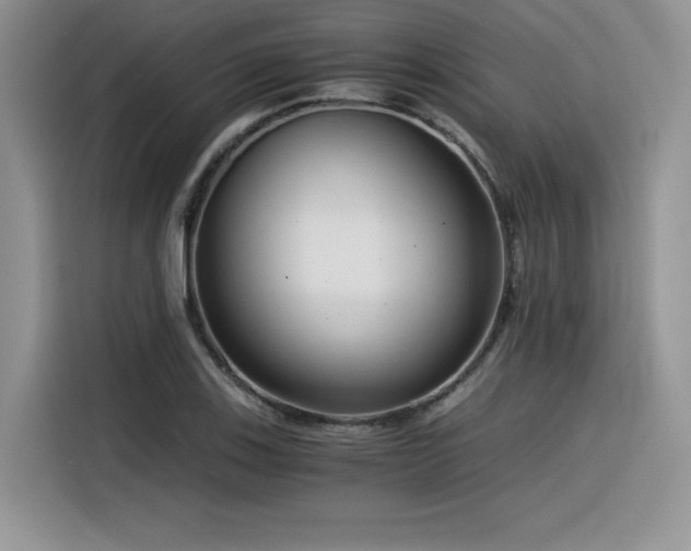 X0000116391123200912021534