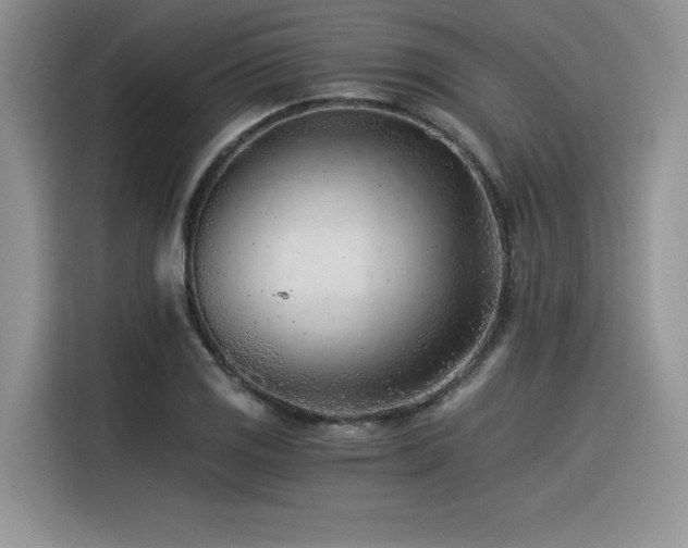 X0000116391125200912021534