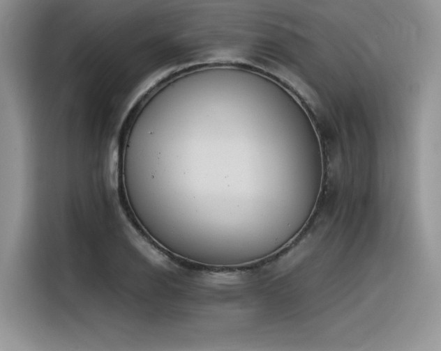 X0000116391126200912021534