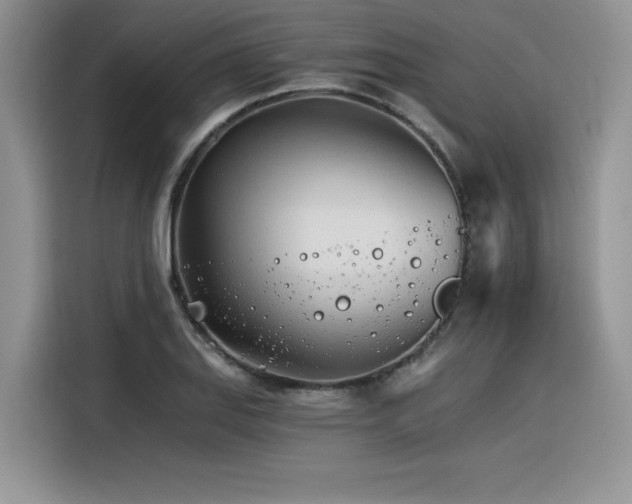 X0000116391127200912021534