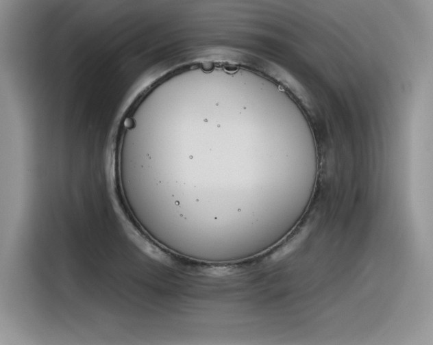 X0000116391130200912021534