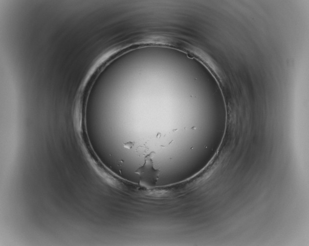 X0000116391131200912021534