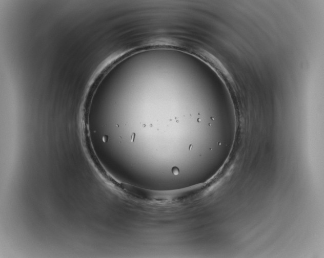 X0000116391133200912021534