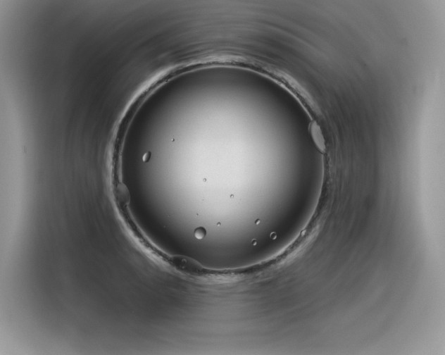 X0000116391134200912021534