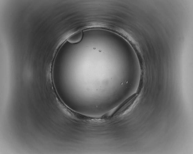X0000116391137200912021534
