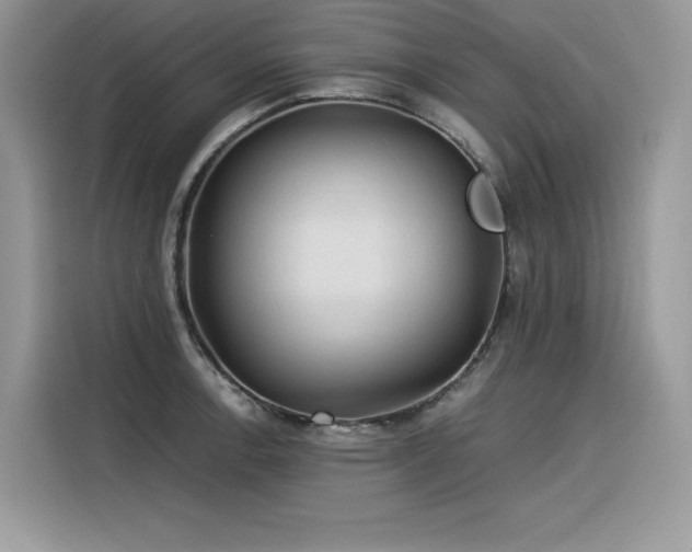 X0000116391138200912021534