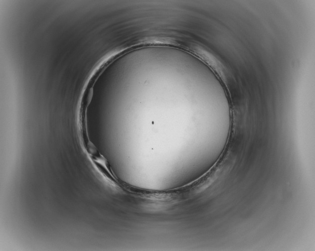 X0000116391141200912021534