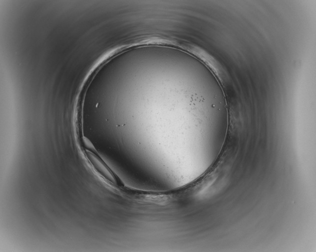 X0000116391142200912021534
