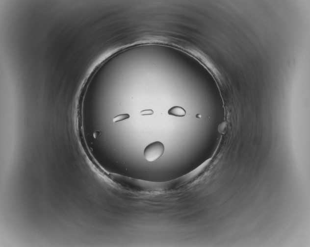 X0000116391143200912021534