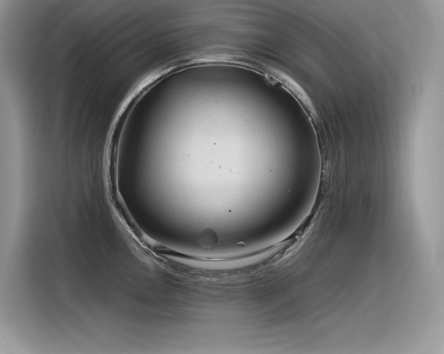 X0000116391146200912021534
