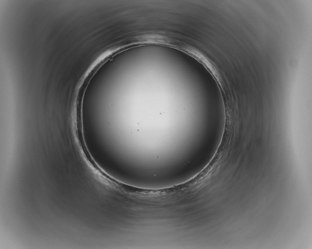 X0000116391147200912021534