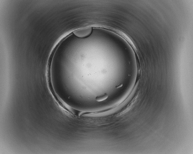 X0000116391149200912021534