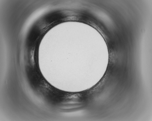 X0000116391150200912021534