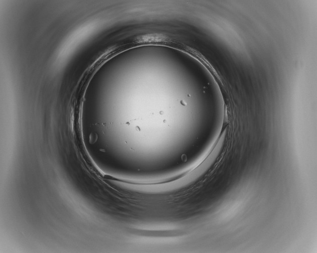 X0000116391151200912021534