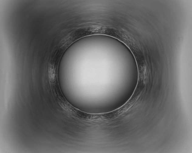X0000116391154200912021534