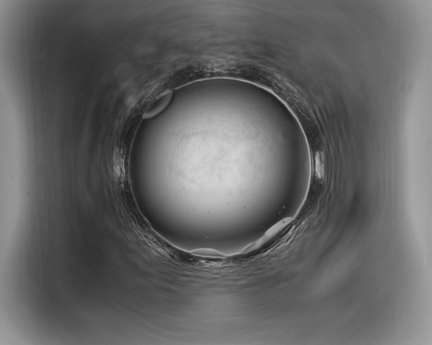 X0000116391155200912021534