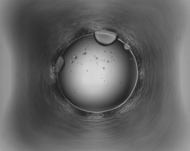 X0000116391156200912021534