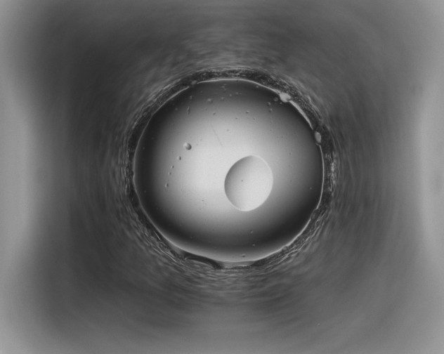 X0000116391157200912021534