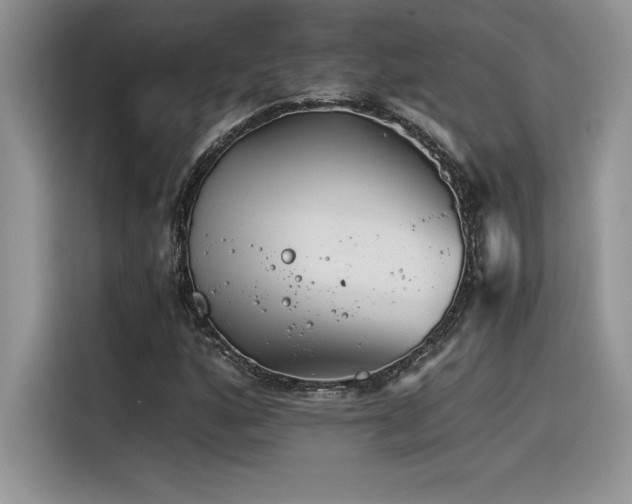 X0000116391160200912021534