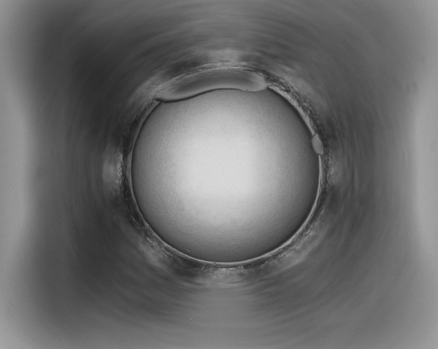 X0000116391161200912021534