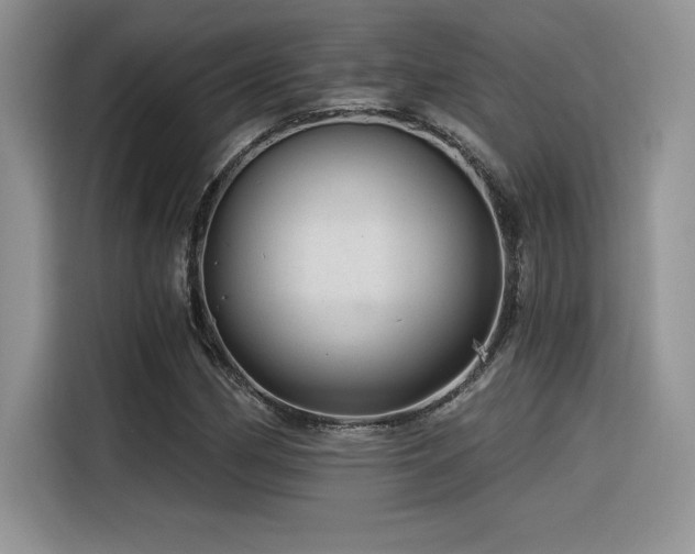 X0000116391162200912021534