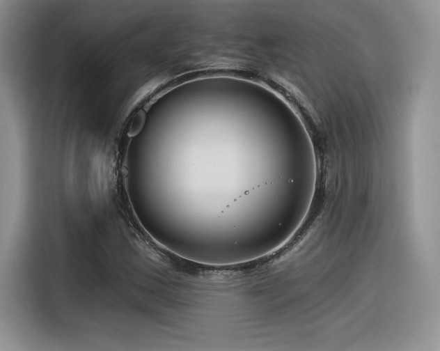 X0000116391163200912021534