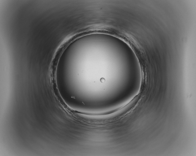 X0000116391164200912021534