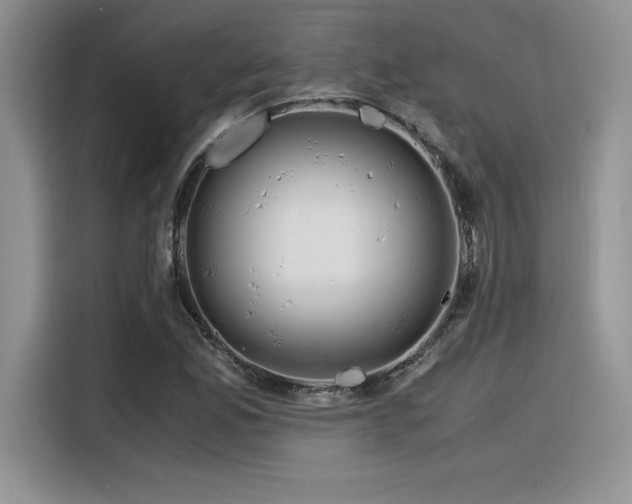 X0000116391165200912021534