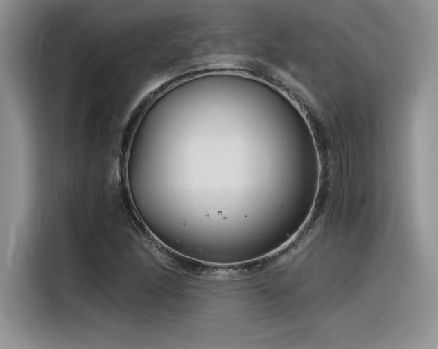 X0000116391166200912021534