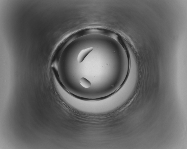 X0000116391167200912021534