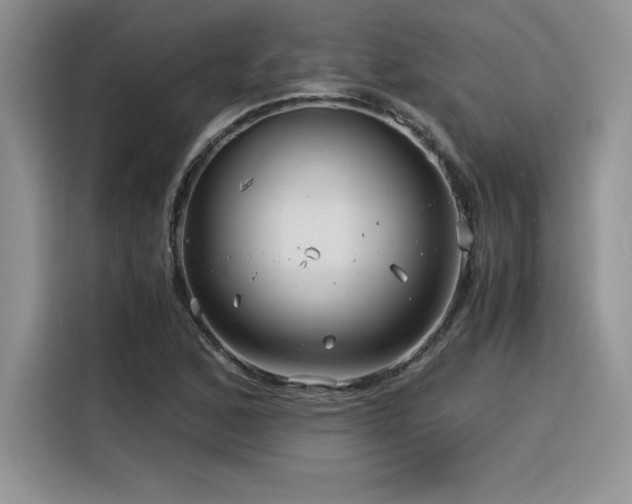 X0000116391168200912021534