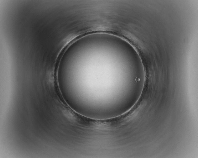 X0000116391170200912021534