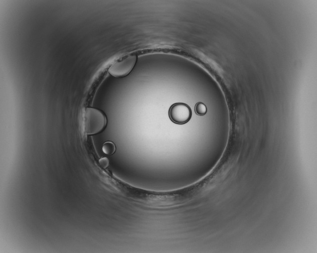 X0000116391171200912021534