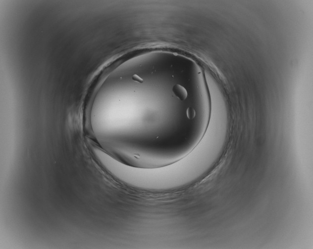X0000116391173200912021534