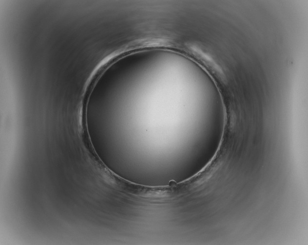 X0000116391174200912021534