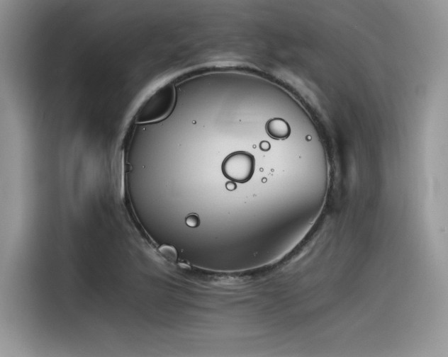 X0000116391175200912021534