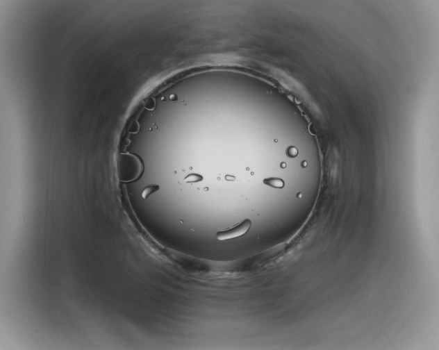 X0000116391176200912021534
