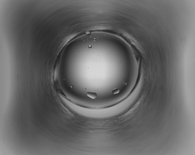 X0000116391177200912021534