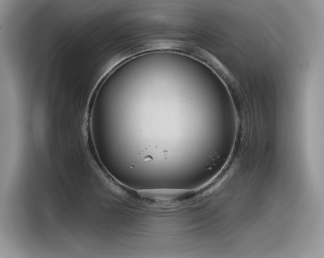 X0000116391178200912021534