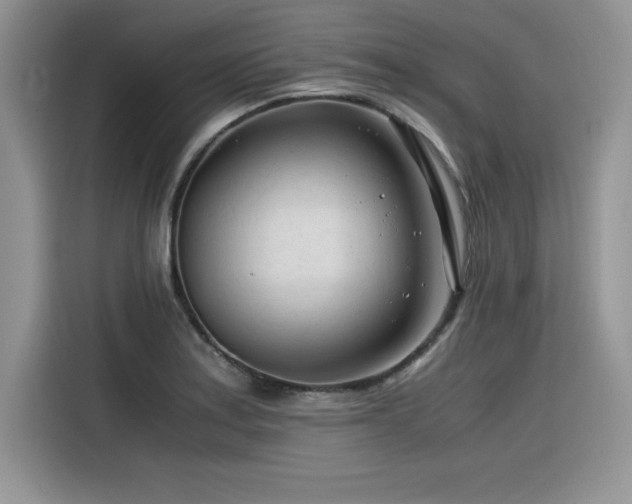 X0000116391179200912021534