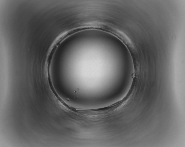 X0000116391180200912021533