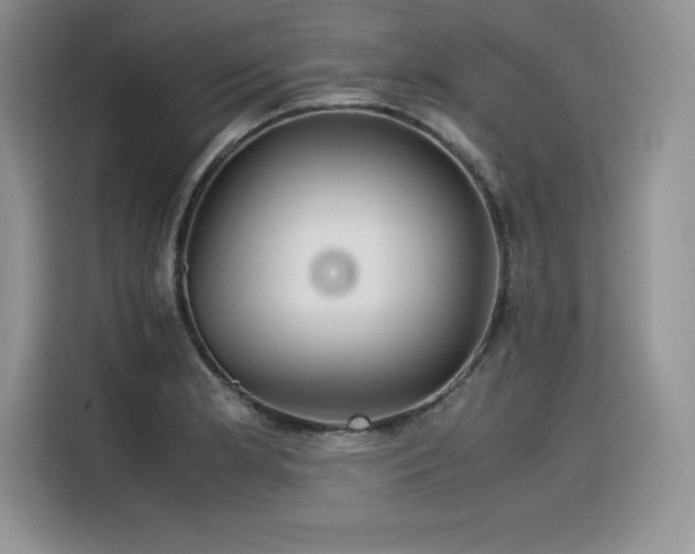 X0000116391181200912021533