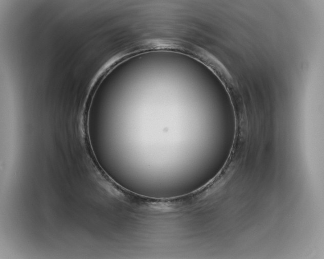 X0000116391182200912021533