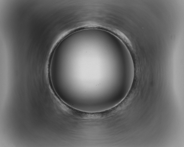 X0000116391183200912021533