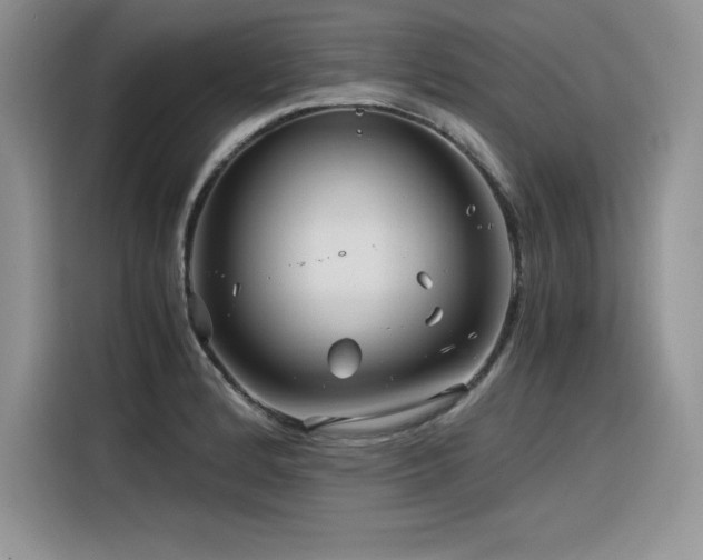 X0000116391184200912021533