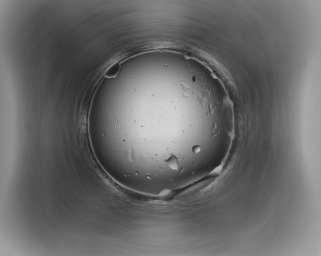 X0000116391185200912021533