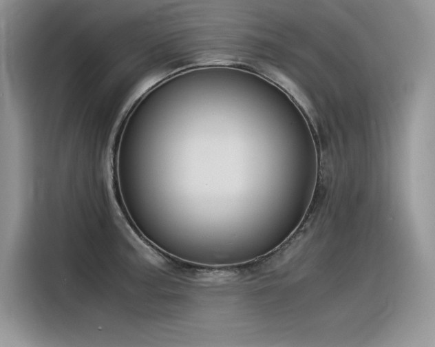 X0000116391187200912021533