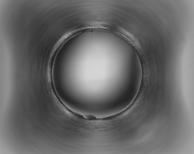 X0000116391188200912021533
