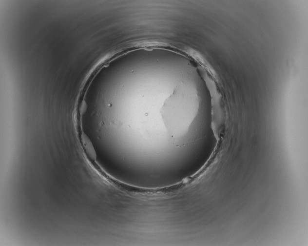X0000116391189200912021533